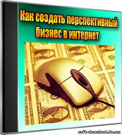 Как создать перспективный бизнес в интернет (2012) DVDRip