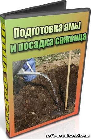 Подготовка ямы и посадка саженца (2012) DVDRip