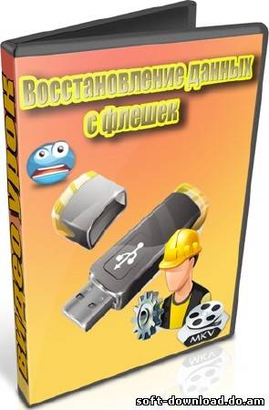 Восстановление данных с флешек (2012) DVDRip