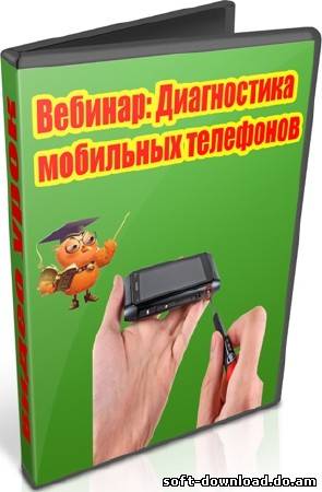 Вебинар: Диагностика мобильных телефонов (2012) DVDRip