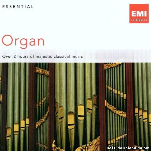 Essential Organ (2011)