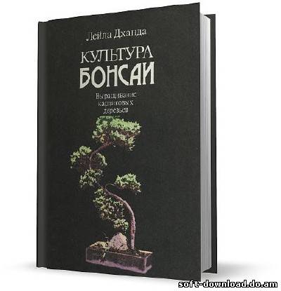 Культура бонсай. Выращивание карликовых деревьев