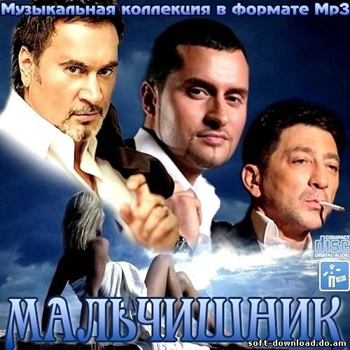 Мальчишник (2012)