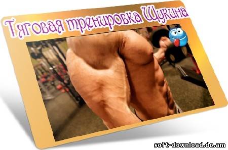 Тяговая тренировка Щукина (2012) DVDRip