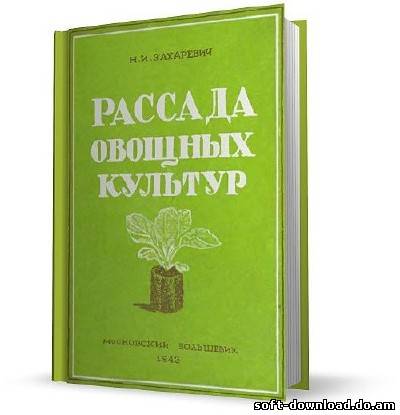 Рассада овощных культур