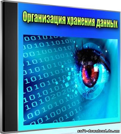 Организация хранения данных (2012) DVDRip